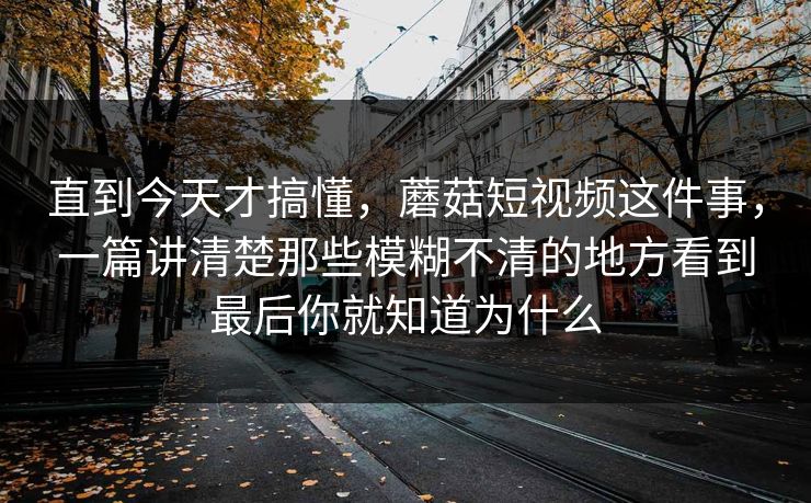 直到今天才搞懂，蘑菇短视频这件事，一篇讲清楚那些模糊不清的地方看到最后你就知道为什么
