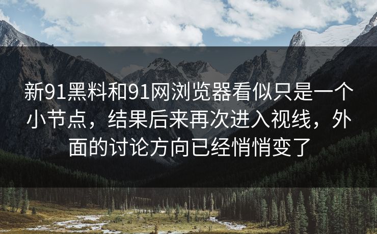 新91黑料和91网浏览器看似只是一个小节点，结果后来再次进入视线，外面的讨论方向已经悄悄变了