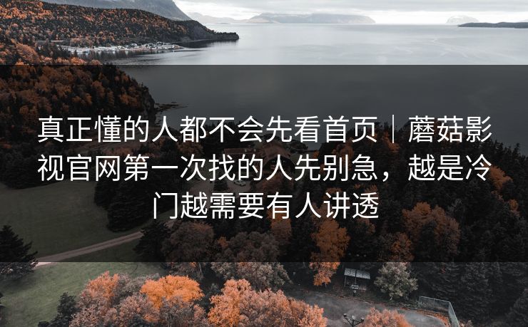真正懂的人都不会先看首页｜蘑菇影视官网第一次找的人先别急，越是冷门越需要有人讲透