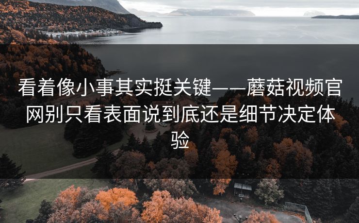 看着像小事其实挺关键——蘑菇视频官网别只看表面说到底还是细节决定体验