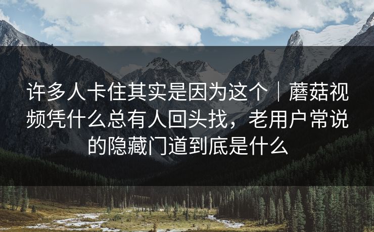 许多人卡住其实是因为这个｜蘑菇视频凭什么总有人回头找，老用户常说的隐藏门道到底是什么