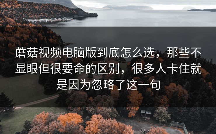 蘑菇视频电脑版到底怎么选,那些不显眼但很要命的区别,很多人卡住就是因为忽略了这一句 蘑菇视频电脑版到底怎么选,那些不显眼但很要命的区别,很多人卡住就是因为忽略了这一句