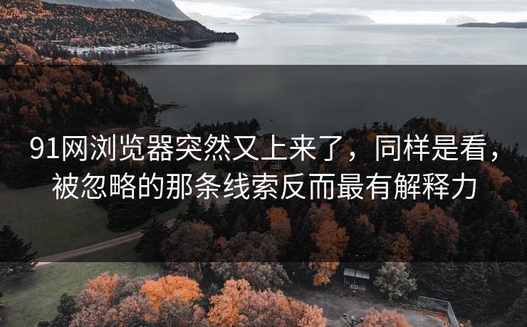 91网浏览器突然又上来了，同样是看，被忽略的那条线索反而最有解释力