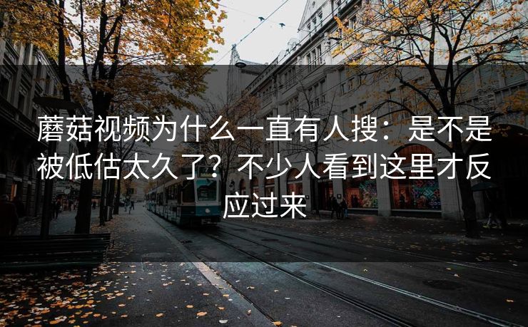 蘑菇视频为什么一直有人搜：是不是被低估太久了？不少人看到这里才反应过来