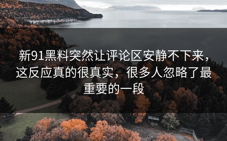 新91黑料突然让评论区安静不下来,这反应真的很真实,很多人忽略了最重要的一段 新91黑料突然让评论区安静不下来,这反应真的很真实,很多人忽略了最重要的一段
