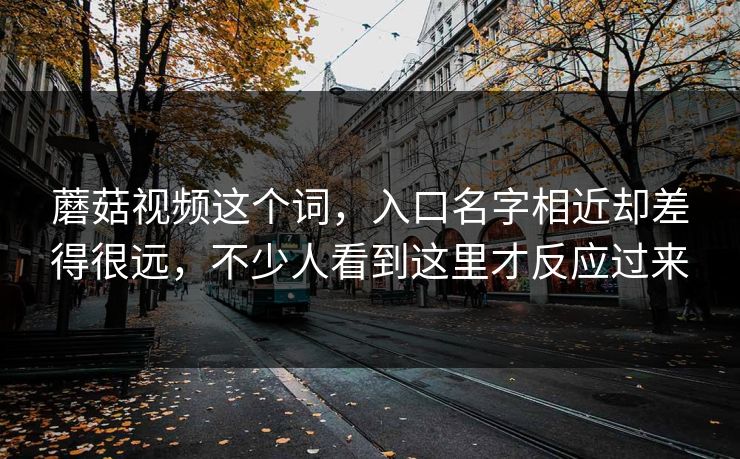 蘑菇视频这个词，入口名字相近却差得很远，不少人看到这里才反应过来